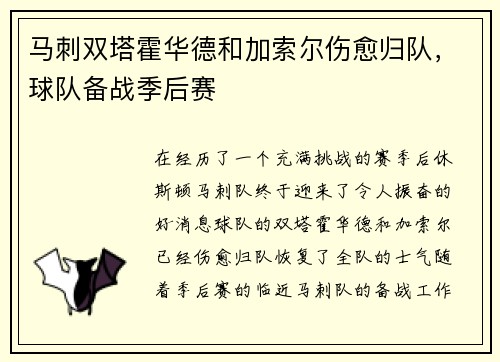 马刺双塔霍华德和加索尔伤愈归队，球队备战季后赛
